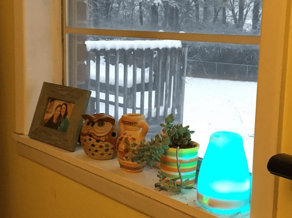 Snowy Days