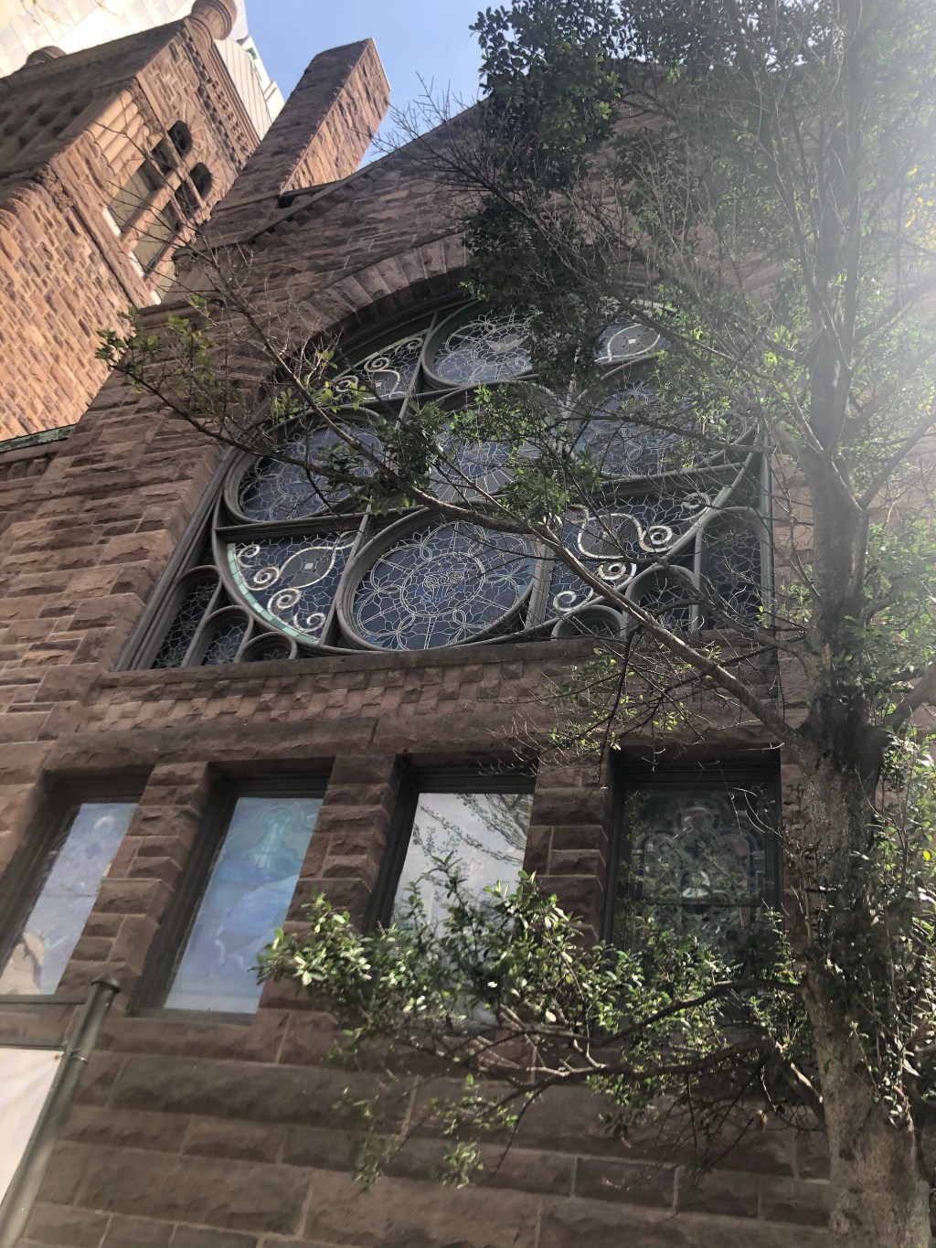 continuing holy week – and celebrating&nbsp;home.