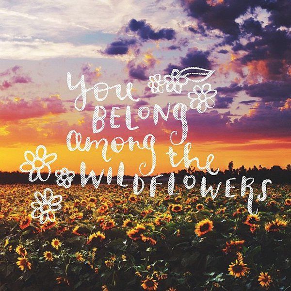 you belong among the wildflowers. .&nbsp;.