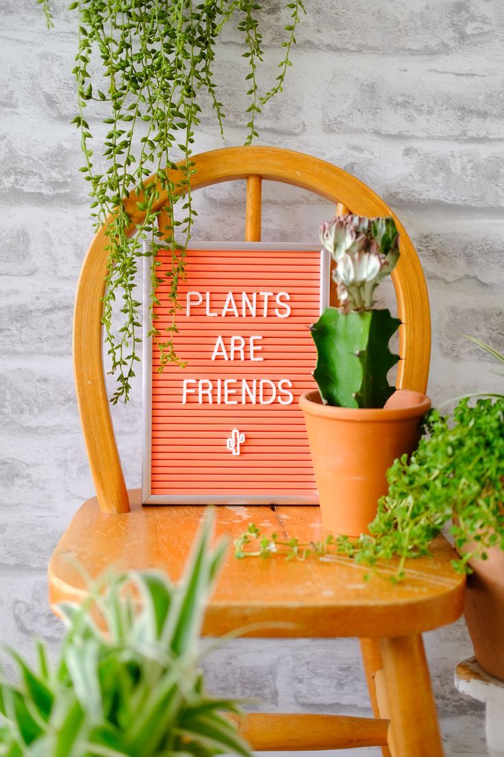 mint farming tales.