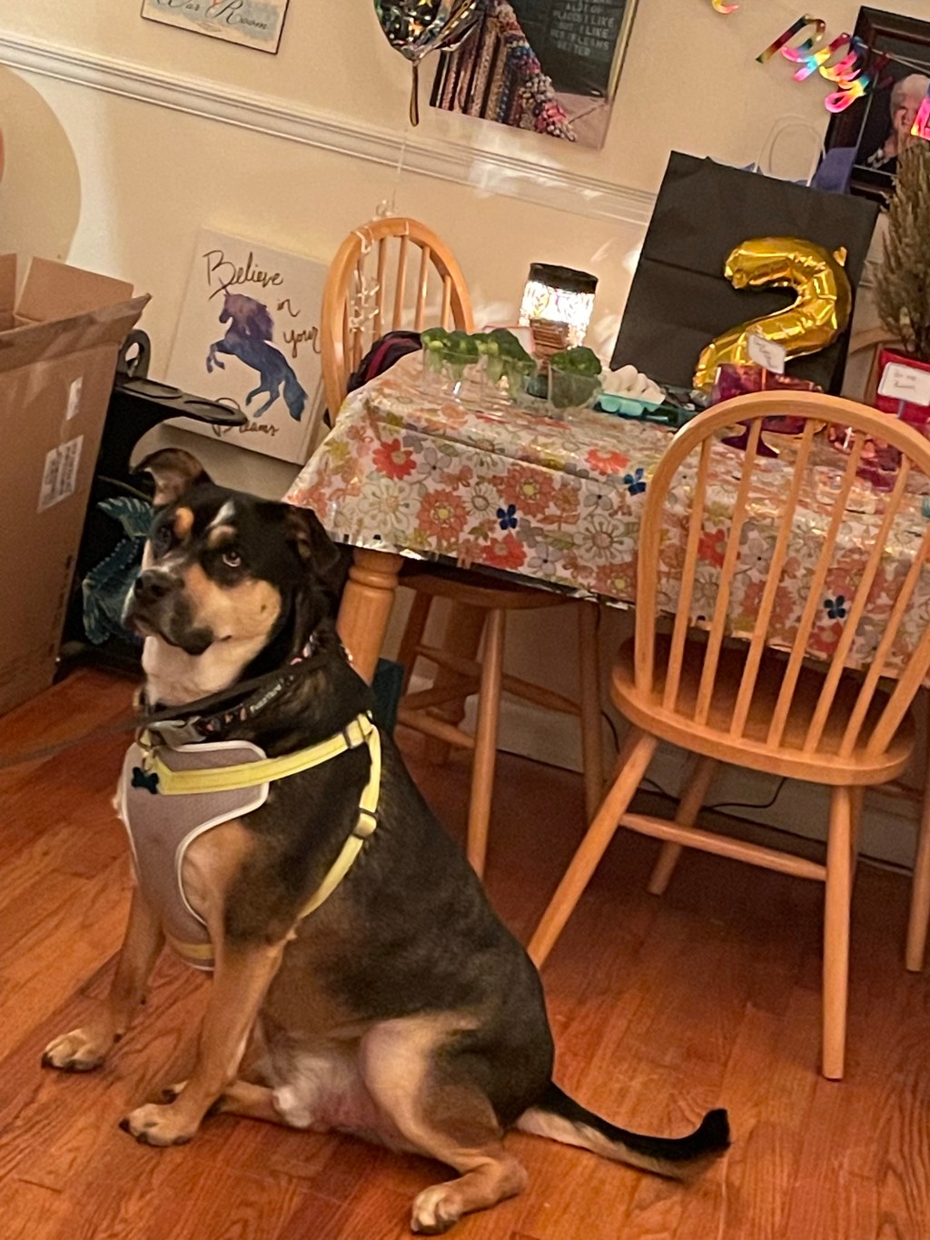 happy 2nd birthday,&nbsp;goblin!