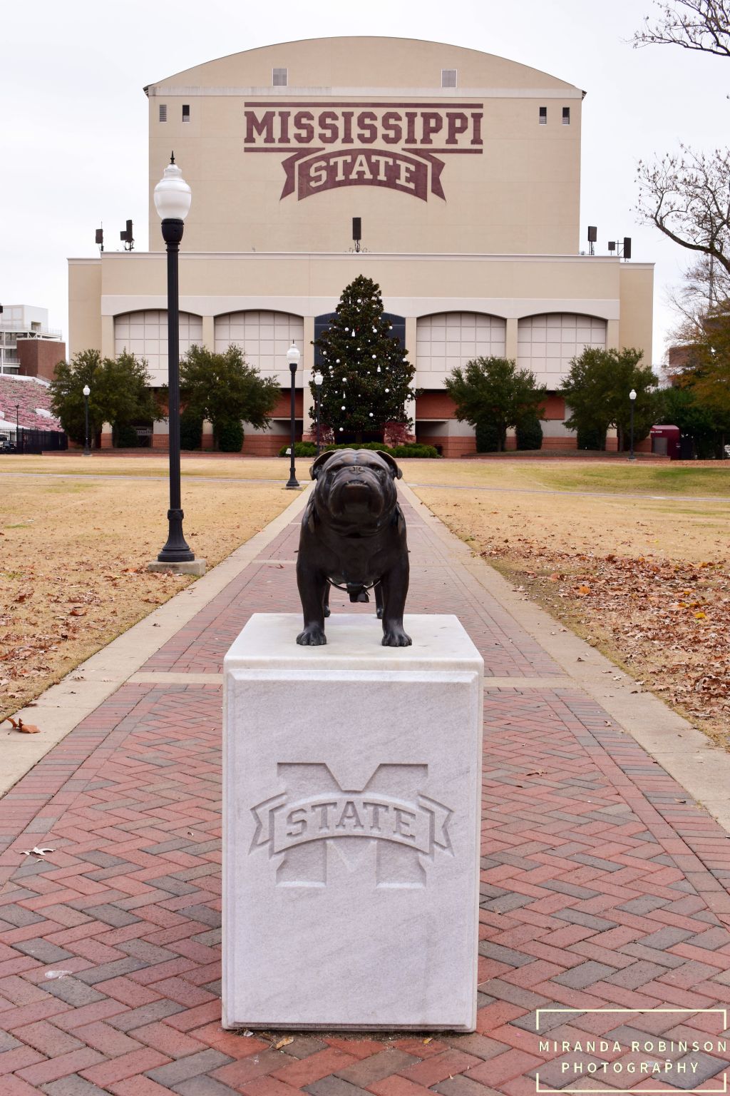 day 6 of thanksgiving – hail&nbsp;state.
