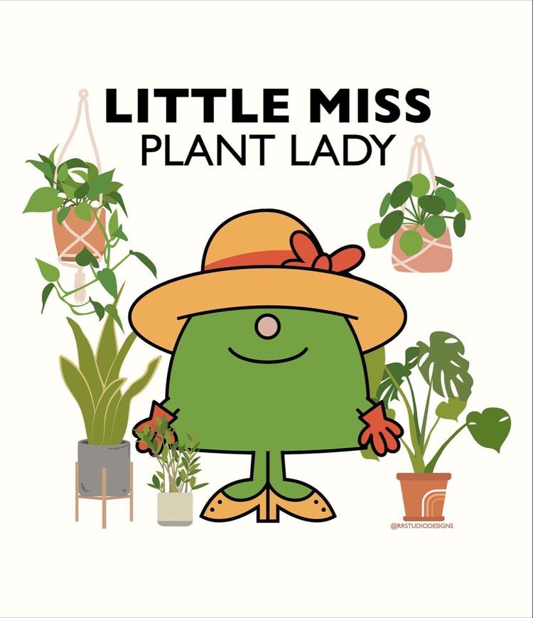 my 14 days of 44: day 2 – houseplant appreciation day is actually a thing. who&nbsp;knew?