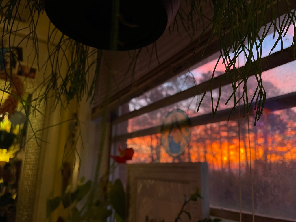 chronic illness and covid&nbsp;recovery.