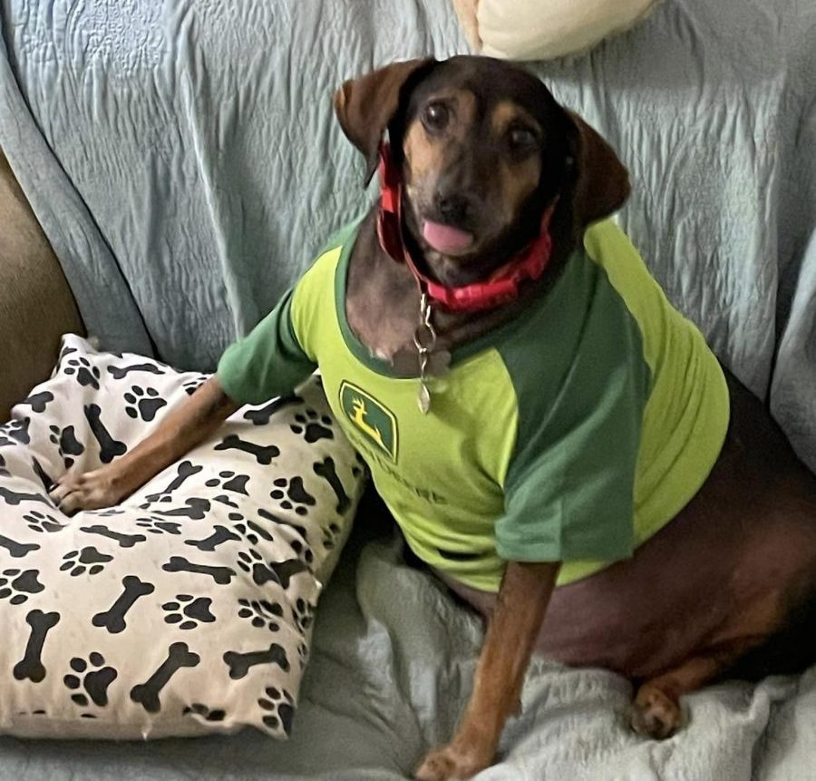happy 10th birthday to our&nbsp;henry.