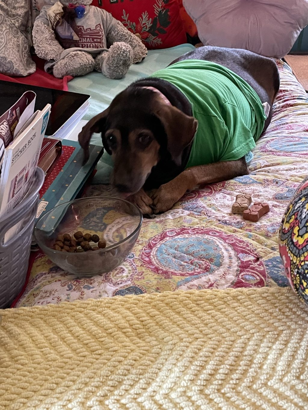 our henry on the&nbsp;mend.