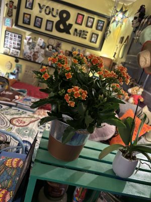 blogtober day 11 – doctor day and flowers for&nbsp;lindsey.