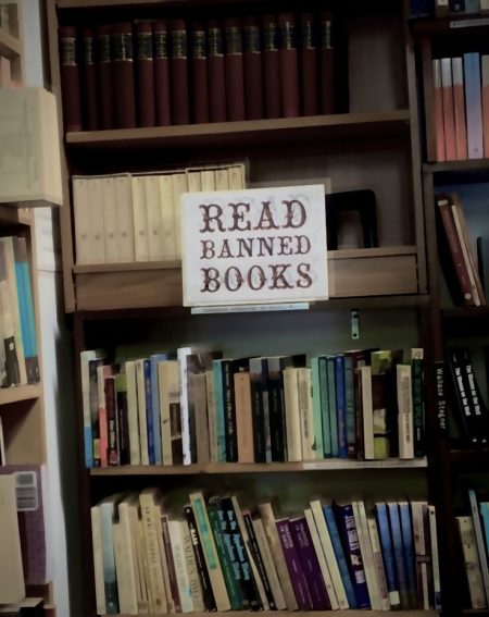 our week two banned book friday report (a little late on a sick&nbsp;day)