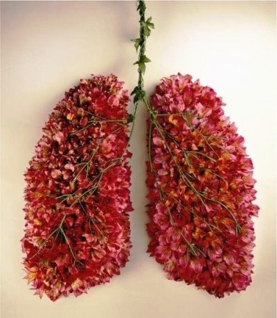a worsening pneumonia for mother’s day this&nbsp;year.