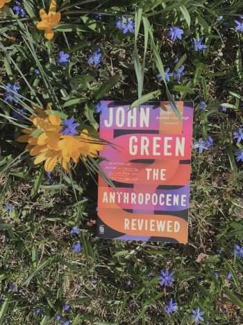 a sick day book report: good finds from two favorite&nbsp;authors.