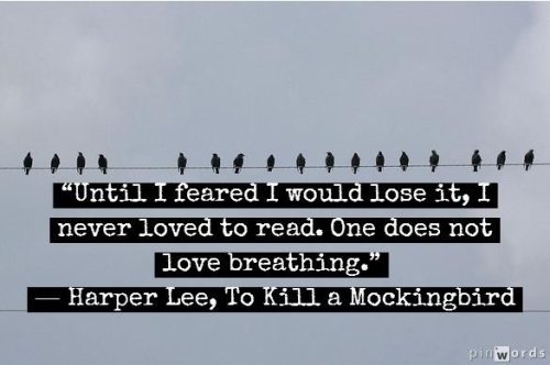 banned book friday #11 (a little late) – harper lee and toni&nbsp;morrison.