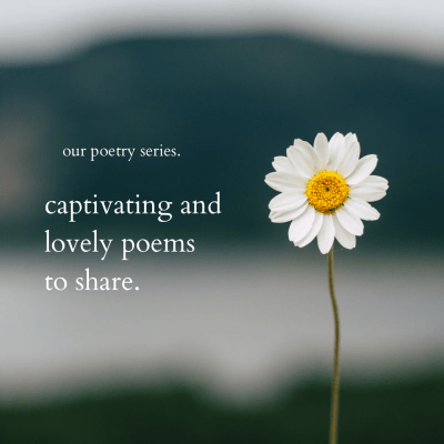 two favorite mary oliver&nbsp;poems.