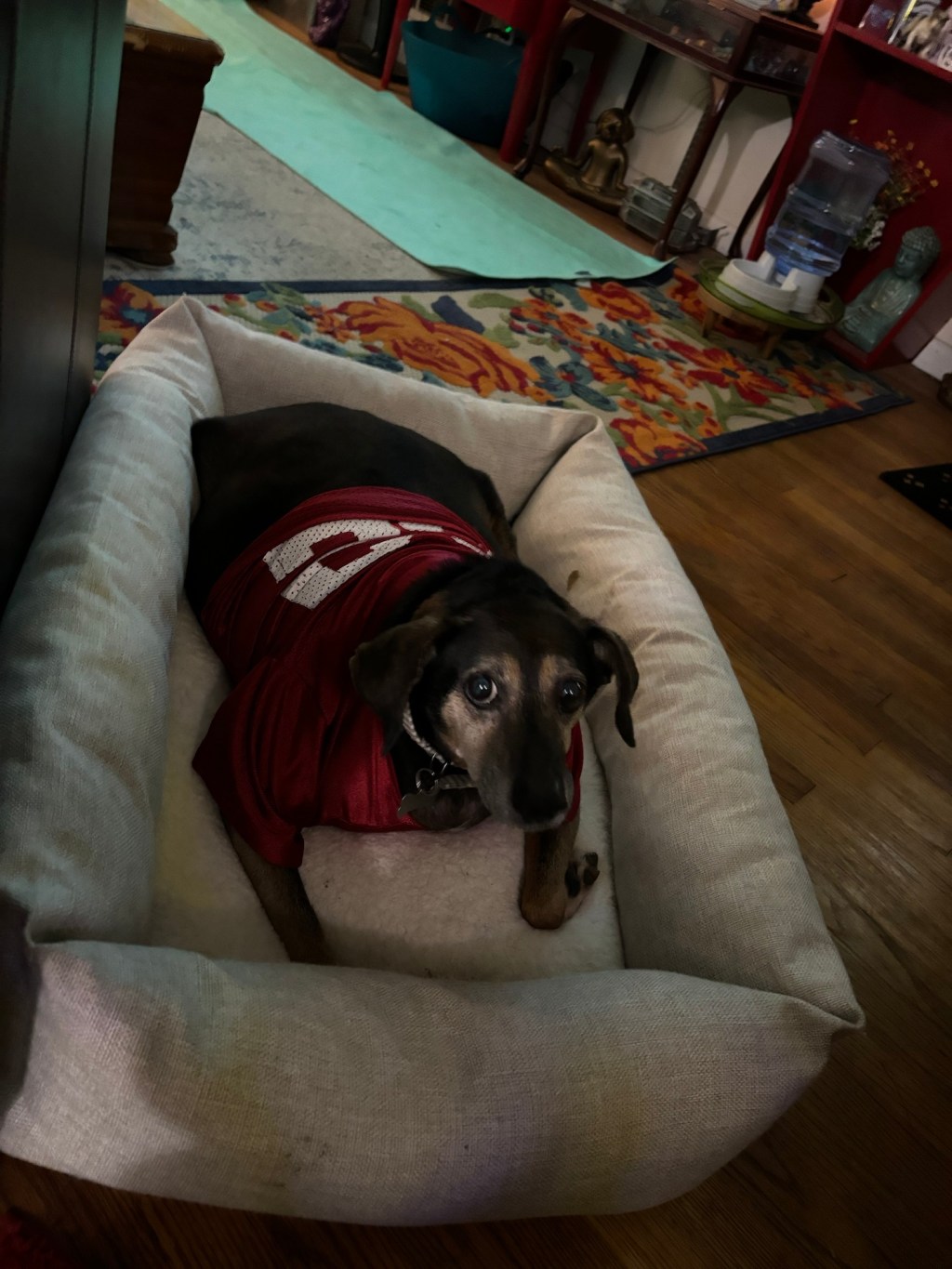 happy fall, y’all.