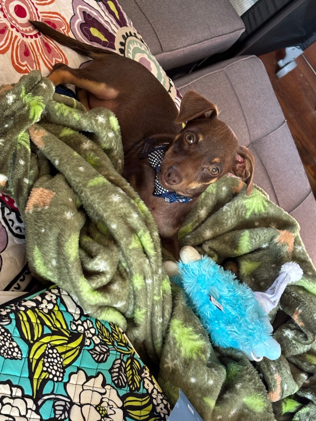 day 1 of thanksgiving – oliver&nbsp;hank.