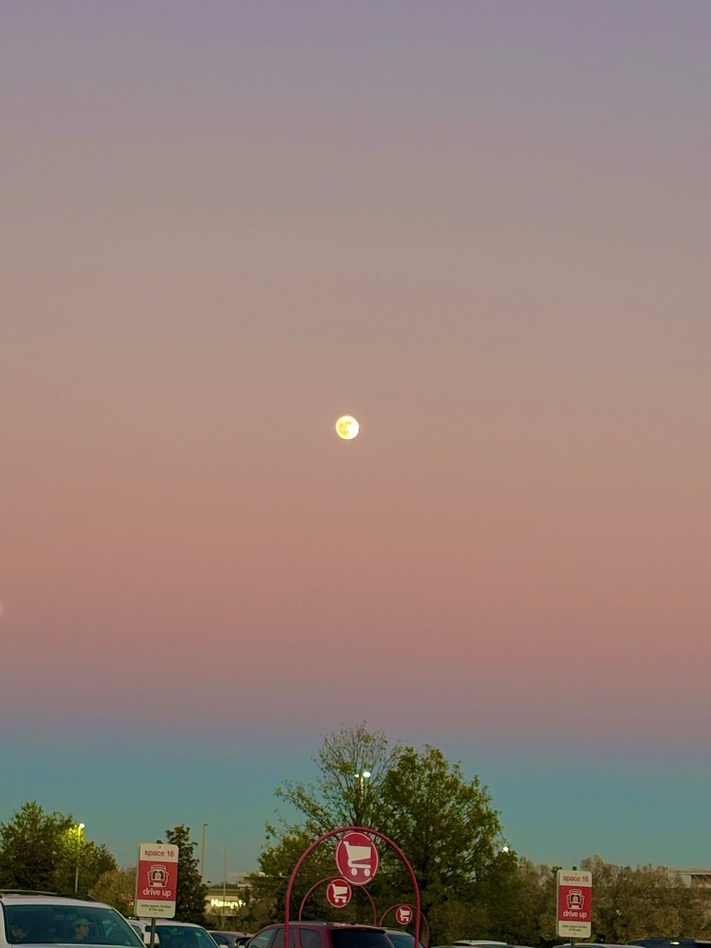 day 8 of thanksgiving –&nbsp;beauty.