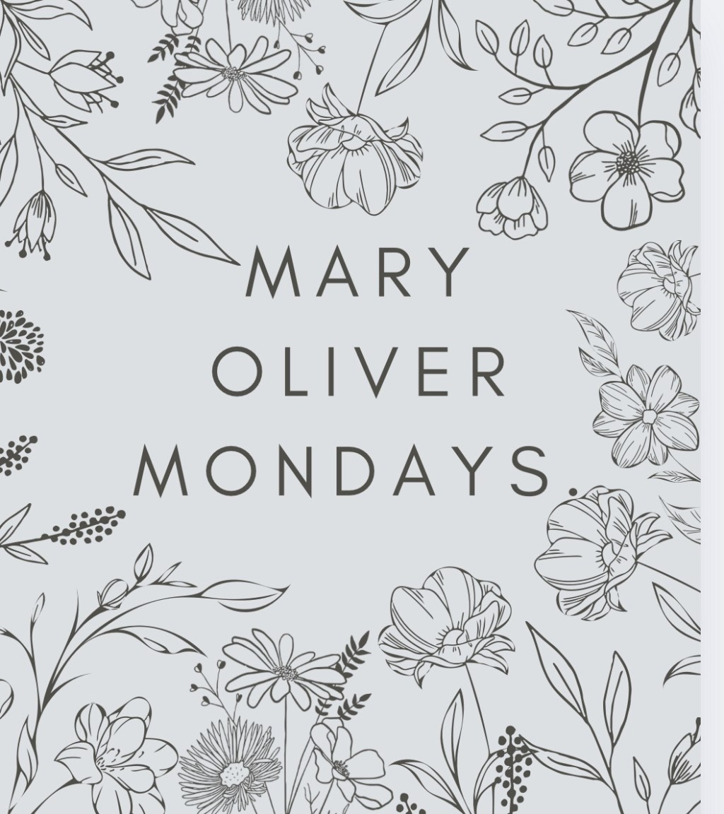 blogmas day 2 – mary oliver&nbsp;monday.